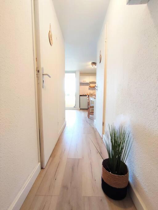 L'Escapade : Charmant T2 -Parking Gratuit, Piscine, Wifi, Clim Gruissan Exterior foto